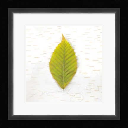 Framed Autumn Colors IV Print