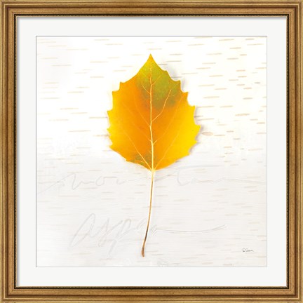 Framed Autumn Colors III Print