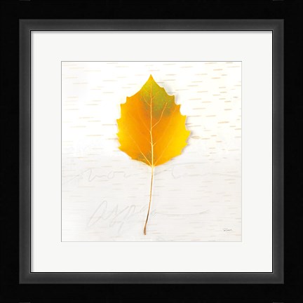 Framed Autumn Colors III Print