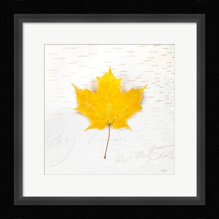 Framed Autumn Colors II Print