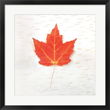 Framed Autumn Colors I Print