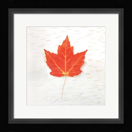 Framed Autumn Colors I Print