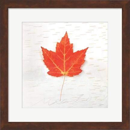 Framed Autumn Colors I Print
