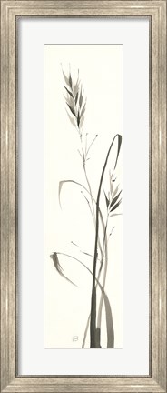 Framed Wild Grass II Print