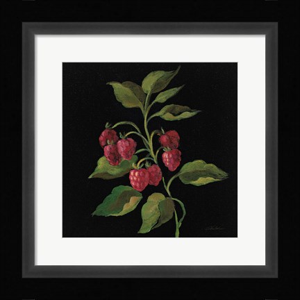 Framed Framboise no Words Print
