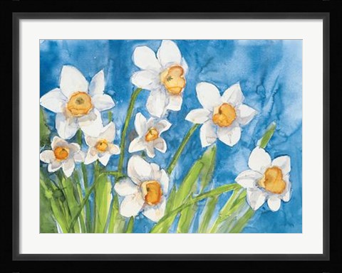 Framed Narcisi Print