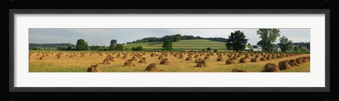 Framed Corn shocks, Amish Country, Ohio Print