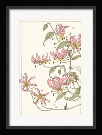 Framed Botanical Gloriosa Lily I Print