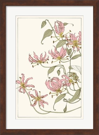 Framed Botanical Gloriosa Lily I Print
