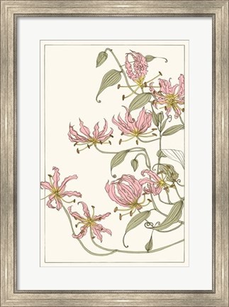 Framed Botanical Gloriosa Lily I Print