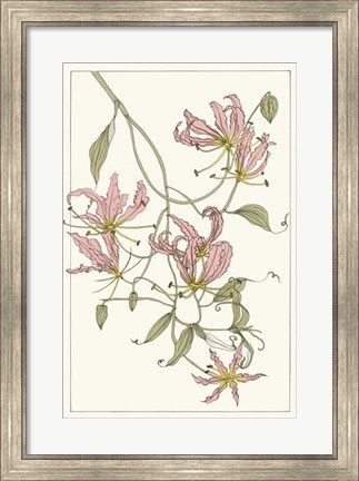 Framed Botanical Gloriosa Lily II Print