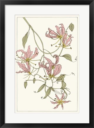 Framed Botanical Gloriosa Lily II Print