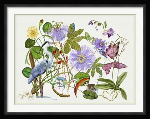 Framed Mesmerize Print