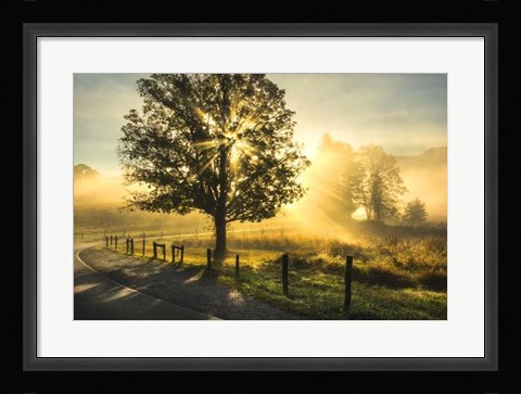 Framed Wake Up Call Print