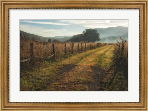 Framed Grassy Lane Print