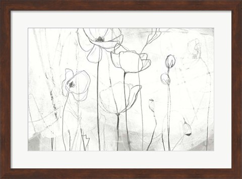 Framed Poppy Sketches I Print