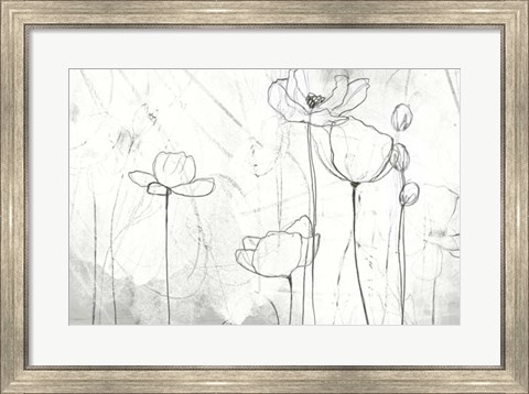 Framed Poppy Sketches II Print