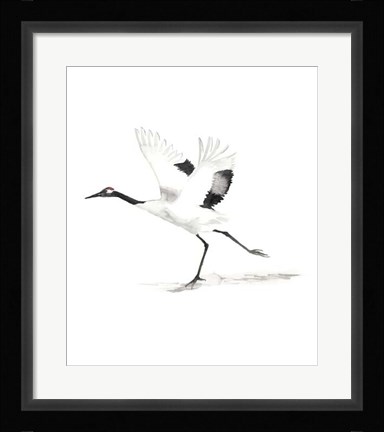 Framed Japanese Cranes III Print