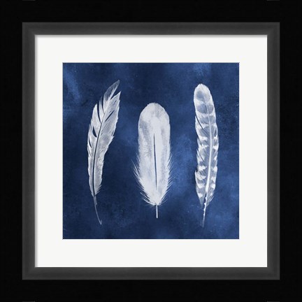 Framed Cyanotype Feathers I Print
