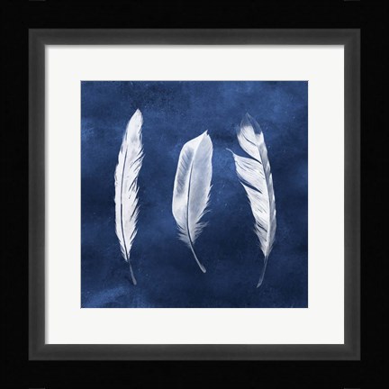 Framed Cyanotype Feathers II Print