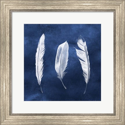 Framed Cyanotype Feathers II Print