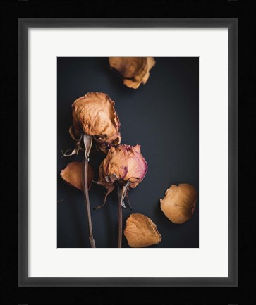 Framed Wilted Dreams I Print