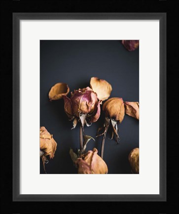 Framed Wilted Dreams II Print