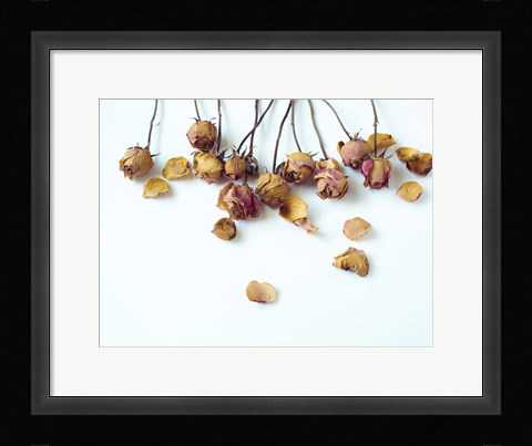Framed Golden Petals I Print