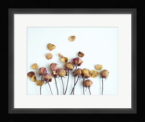 Framed Golden Petals II Print