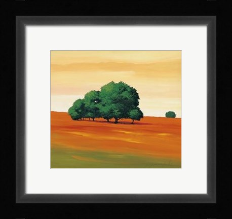 Framed Boschetto Print