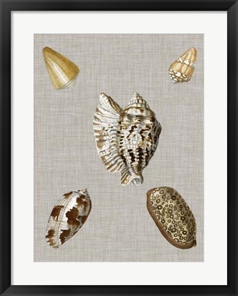 Framed Shells on Linen I Print