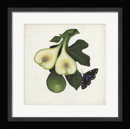 Framed Fruit with Butterflies III Print