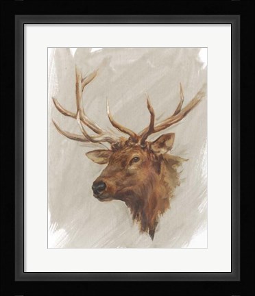 Framed Western American Animal Study IV Print