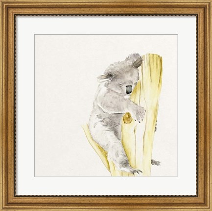 Framed Baby Koala I Print