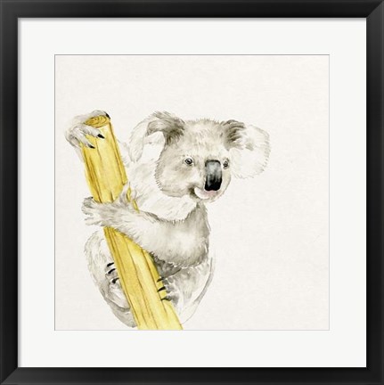 Framed Baby Koala II Print