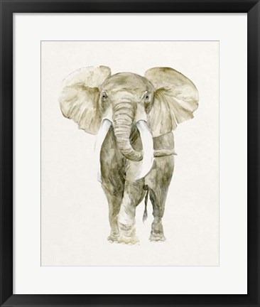 Framed Baby Elephant I Print