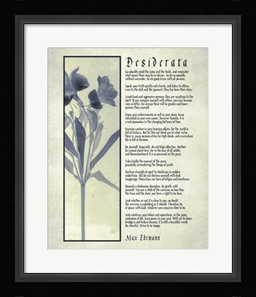 Framed Desiderata Blue Daguerreotype Print