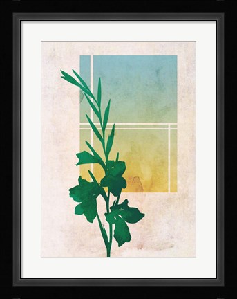 Framed Ombre Gladiolus Flowers Print