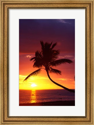 Framed Sunset and Palm Trees, Coral Coast, Viti Levu, Fiji Print