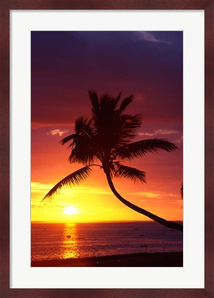 Framed Sunset and Palm Trees, Coral Coast, Viti Levu, Fiji Print