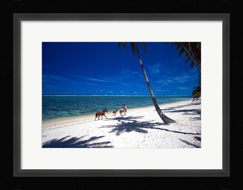 Framed Horses on Beach, Tambua Sands Resort, Coral Coast, Fiji Print