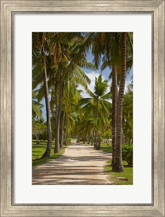 Framed Avenue of Palms, Musket Cove Island Resort, Malolo Lailai Island, Mamanuca Islands, Fiji Print