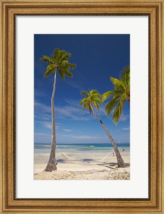 Framed Hammock and palm trees, Plantation Island Resort, Malolo Lailai Island, Mamanuca Islands, Fiji Print