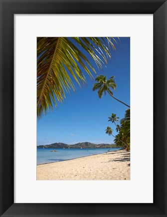 Framed Beach and palm trees, Plantation Island Resort, Malolo Lailai Island, Mamanuca Islands, Fiji Print