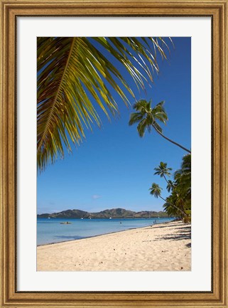 Framed Beach and palm trees, Plantation Island Resort, Malolo Lailai Island, Mamanuca Islands, Fiji Print