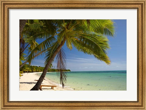 Framed Beach and palm trees, Plantation Island Resort, Mamanuca Islands, Fiji Print