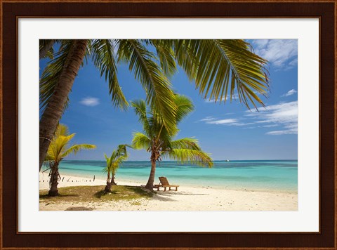 Framed Beach, palm trees and lounger, Plantation Island Resort, Malolo Lailai Island, Mamanuca Islands, Fiji Print
