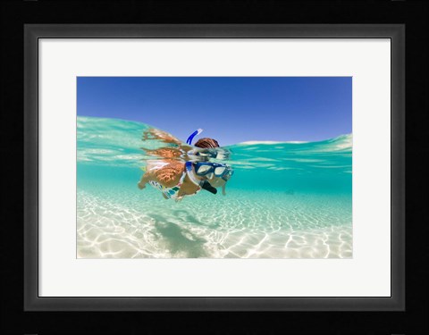 Framed Couple snorkeling, Beqa Island, Fiji Print