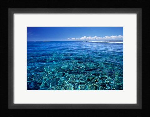 Framed Fiji Islands, Tavarua, coral reef Print
