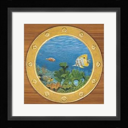 Framed Andrea Del missier - Coral Reef Size 19.75x23.75 Print